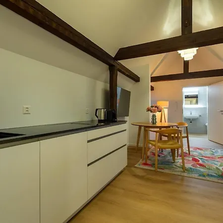 Nest Suite - Zuerich City アパート チューリッヒ