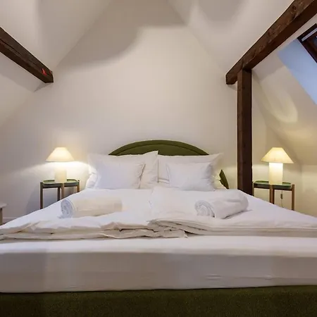 Nest 1 King Bed Near Hb Zürich