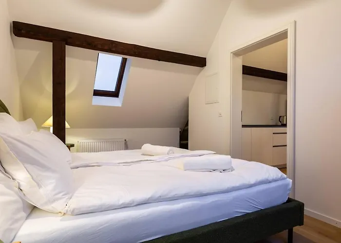 Nest Suite 1 King Bed Near Zuerich Hb *