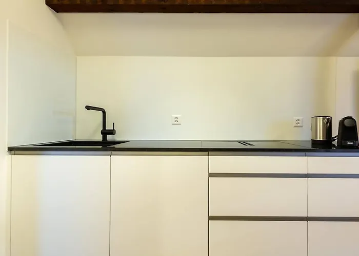 Nest Suite 1 King Bed Near Zuerich Hb * Ζυρίχη